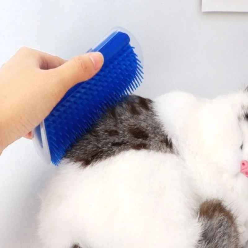 Escova de cabelo em tira com erva catnip para gato, parede de animais de estimação, brinquedo de massagem para gatos